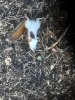 20210704_065101.jpg