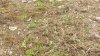 20210705_112757.jpg