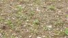 20210705_112442.jpg