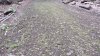 20210705_111900.jpg