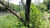 20210705_123316.jpg