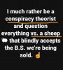 sheep.jpg
