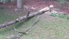 20210708_160539.jpg