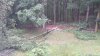 20210708_160533.jpg