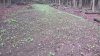 20210709_071358.jpg