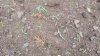 20210709_071230.jpg