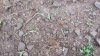 20210709_071108.jpg
