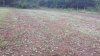 20210709_070711.jpg