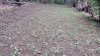 20210713_095122.jpg