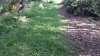 20210715_100717.jpg