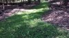 20210715_095956.jpg