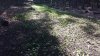 20210715_094333.jpg