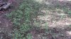 20210721_160143.jpg