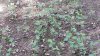 20210721_155944.jpg