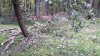20210722_173944.jpg
