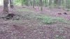 20210729_084803.jpg