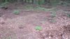 20210729_083334.jpg