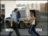 wp-content.gif