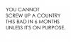 on purpose.jpg
