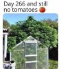 no tomatos.jpg