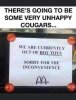 sad cougars.jpg