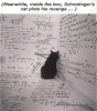 plotting cat.jpg