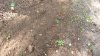 20210807_151325.jpg