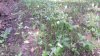 20210811_111442.jpg