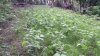 20210811_104207.jpg