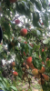 upload_2021-8-11_15-11-41.png