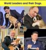 dogsleaders.jpg