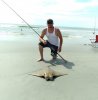 Cownose Ray.jpg