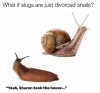 slugs.jpg