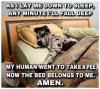 dogs prayer.jpg