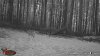 shade bean buck 8 21.JPG