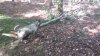 20210824_104534.jpg