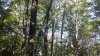 20210824_104246.jpg