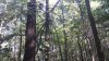20210824_104226.jpg
