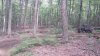 20210826_123158.jpg