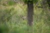 IMG_4155.jpg