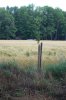 DSC_0021.jpg