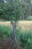 DSC_0025.jpg