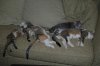 DSC_00481a.jpg