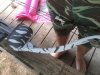 IMG_20120701_143349.jpg