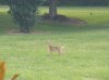 DSCF2381.jpg