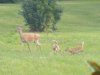 DSCF2382.jpg
