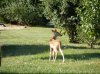 DSCF2392.jpg