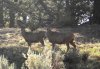 DSCN4192.jpg