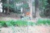 20120708a.jpg