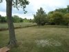 DSC02486.jpg